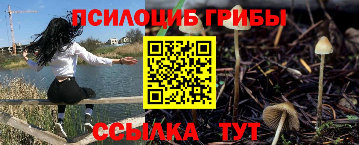 Псилоцибиновые грибы MAGIC MUSHROOMS  Вход с VPN  закладки  Железногорск 
