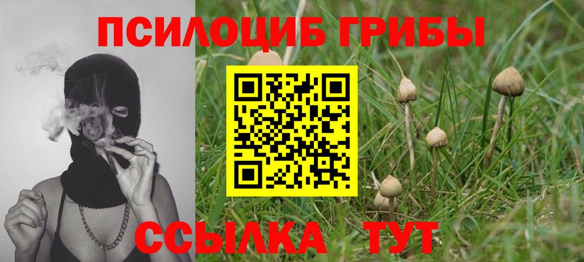 Галлюциногенные грибы MAGIC MUSHROOMS Железногорск